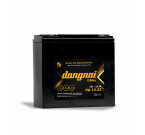Ắc quy đồng nai PA 12-23(12V-23Ah)
