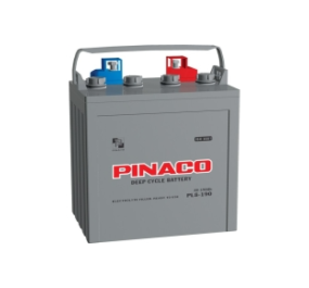 Ắc Quy Xe Điện Đồng Nai PL6-260 / 6V - 260Ah