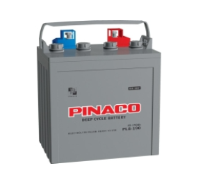 Ắc Quy Xe Điện Đồng Nai PL6-260 / 6V - 260Ah